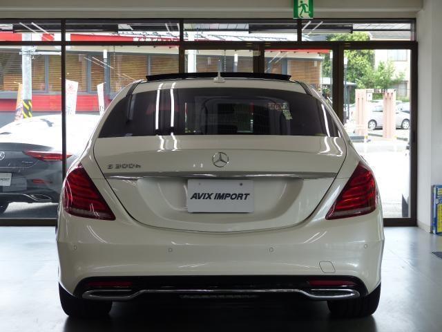 19055264_carP_l_4.jpg