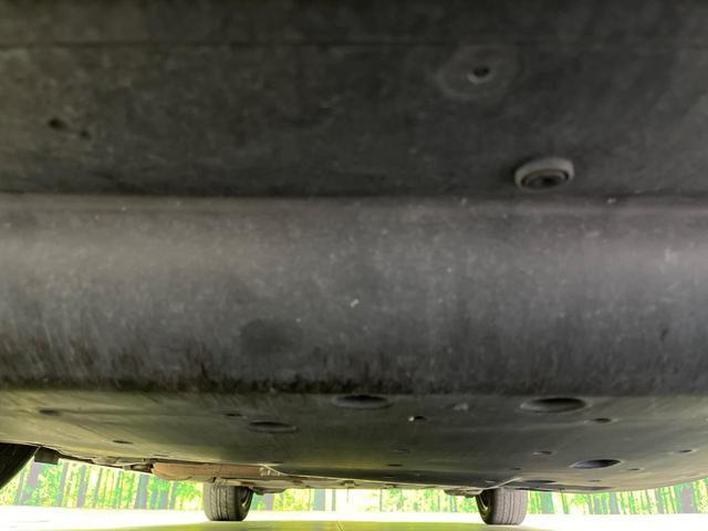 22759304_carP_l_18.jpg