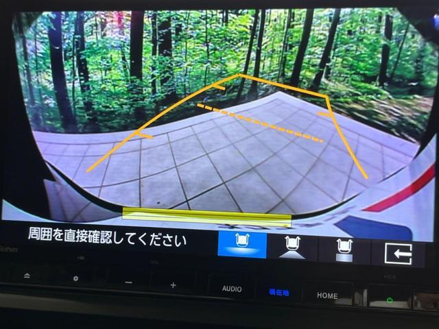 22224330_carP_l_10.jpg