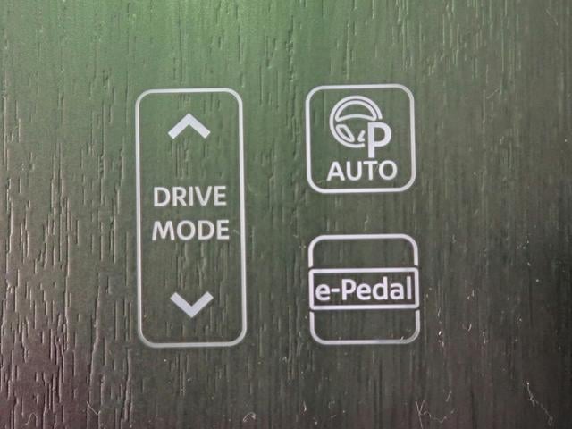 0230024A30251023W00213.jpg