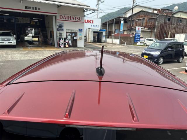 1001588A30250701W00111.jpg