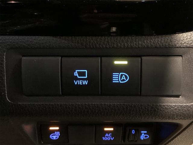 0710232A30260210W00416.jpg