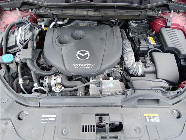 08.jpg