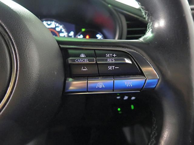 0201999A30260202W00110.jpg