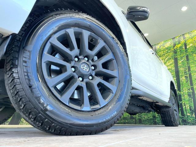 21548808_carP_l_7.jpg