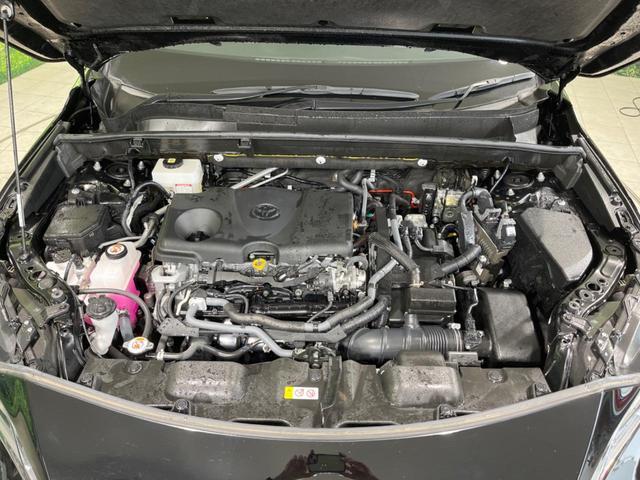 22975536_carP_l_12.jpg