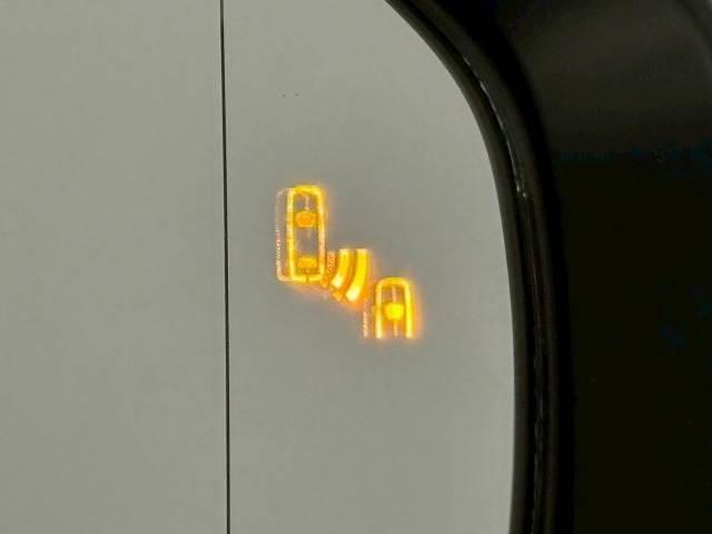 21230831_carP_l_19.jpg