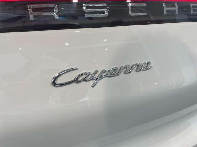 20923956_carP_l_6.jpg