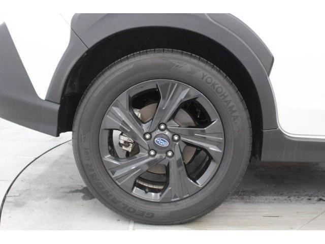 db6d79d5f9964b2bf9de15d2d1528cae.jpg