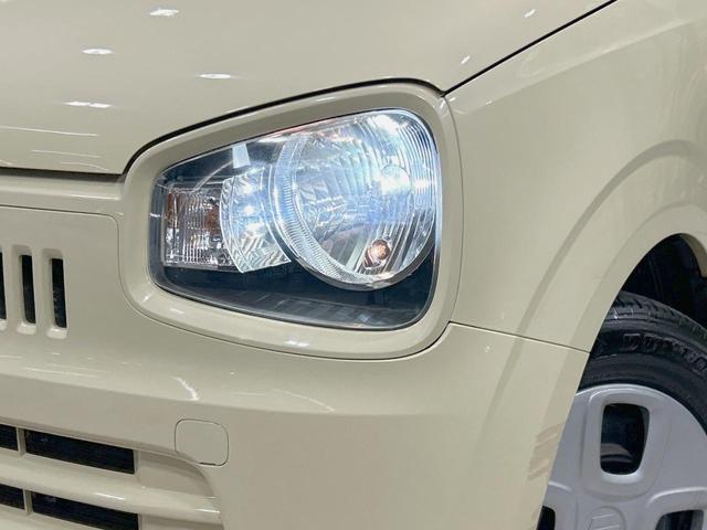 20193677_carP_l_6.jpg