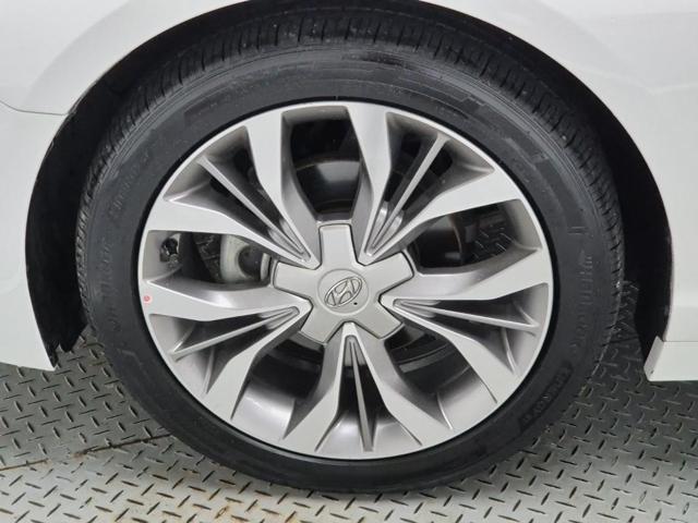 5101000186R19.jpg
