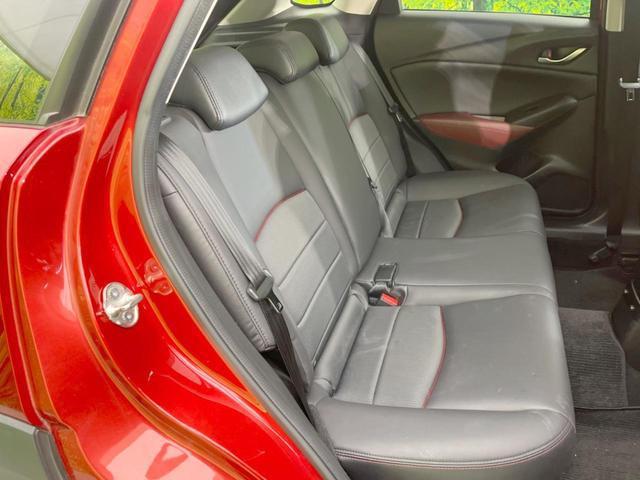 22544530_carP_l_19.jpg