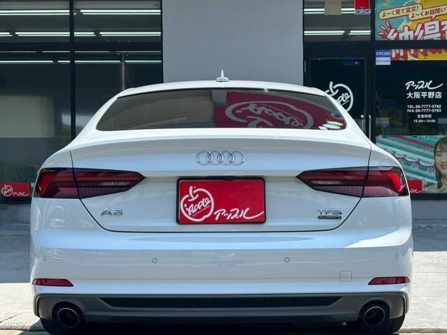 18561145_carP_l_6.jpg