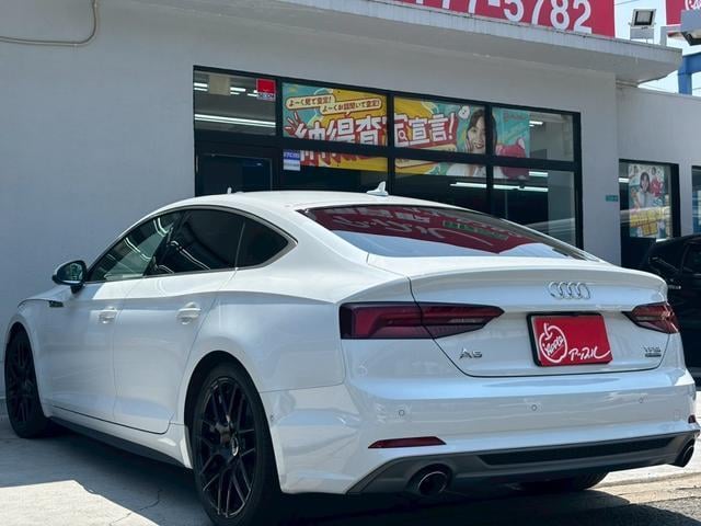 18561145_carP_l_7.jpg