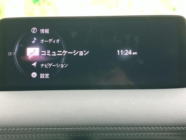 20284674_carP_l_19.jpg