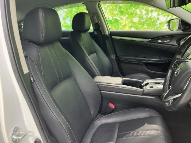 21319672_carP_l_4.jpg