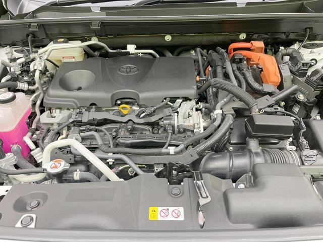 21548573_carP_l_16.jpg