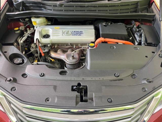 22334357_carP_l_16.jpg