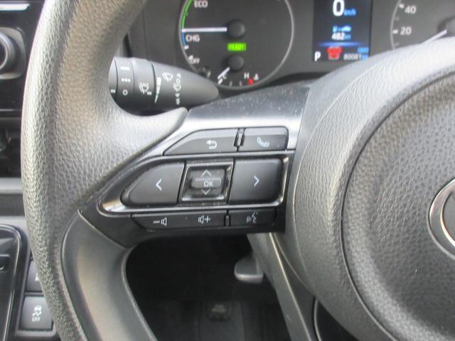 22223083_carP_l_17.jpg