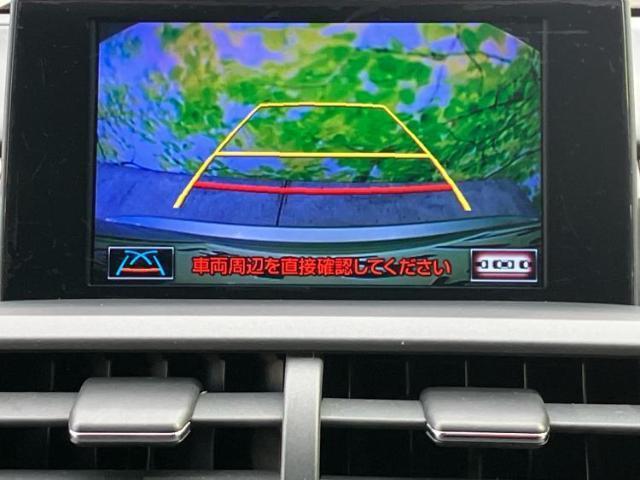 20682730_carP_l_7.jpg
