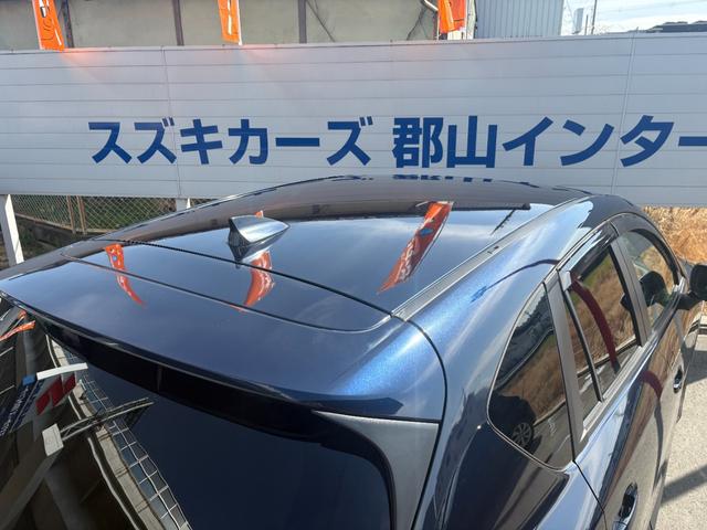 0706954A30260309W00305.jpg