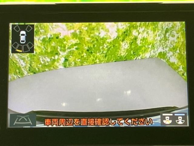 20711607_carP_l_5.jpg