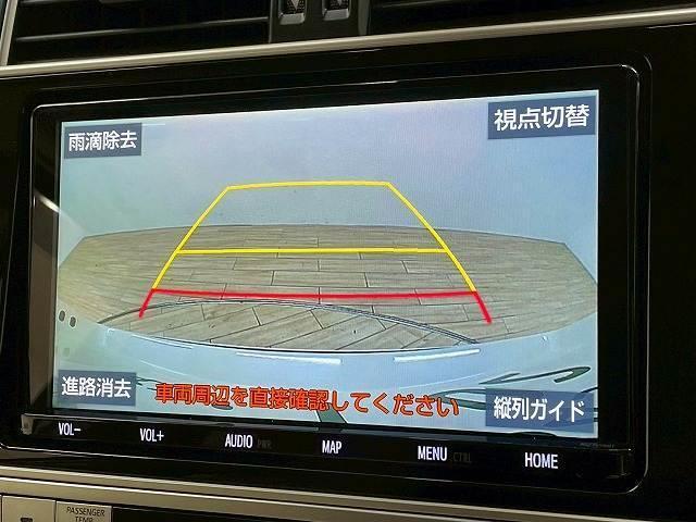 22255885_carP_l_10.jpg