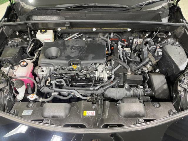 20210334_carP_l_18.jpg