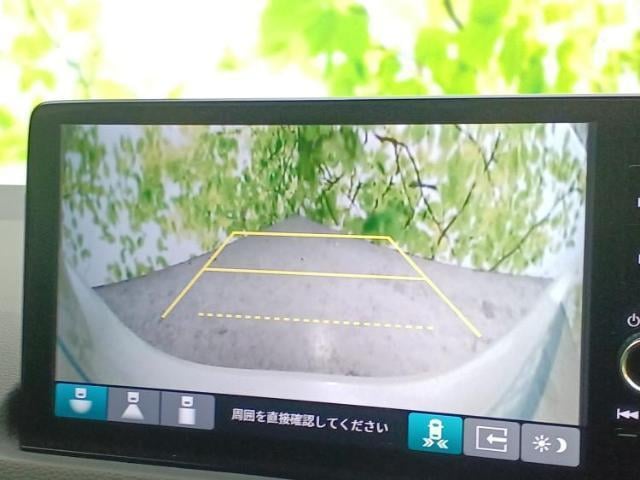17668476_carP_l_5.jpg