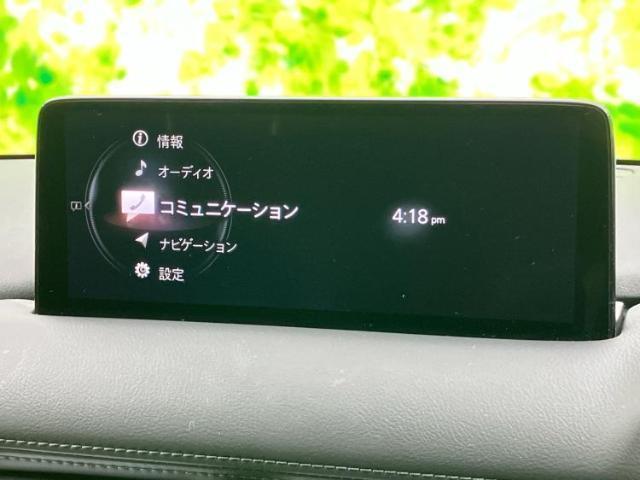 21062369_carP_l_19.jpg