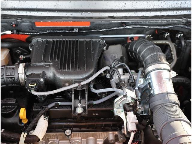 21254980_carP_l_12.jpg