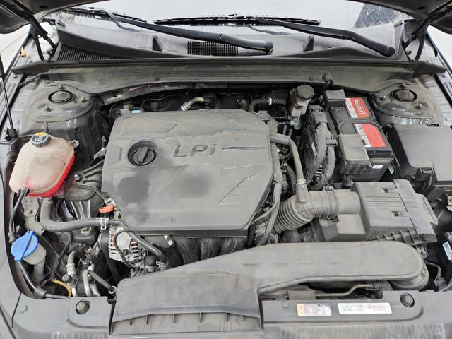 lotterental_14445627_gPiFM_5.jpg