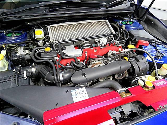 21875173_carP_l_20.jpg