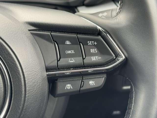 18045358_carP_l_8.jpg