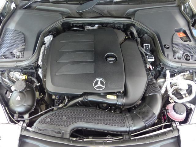 22975120_carP_l_20.jpg