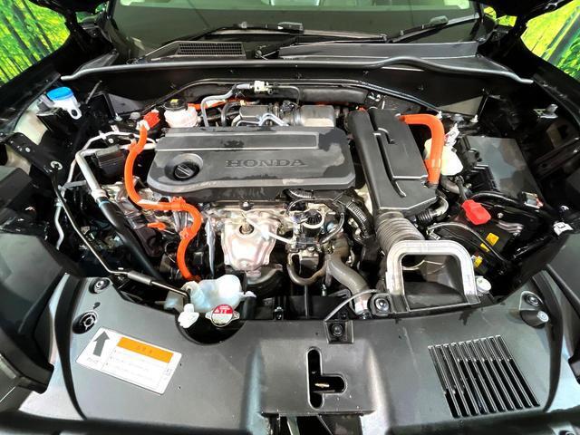 21236674_carP_l_16.jpg