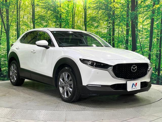 20193526_carP_l_12.jpg