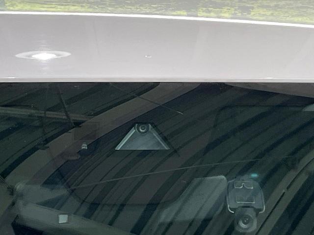 20193526_carP_l_13.jpg