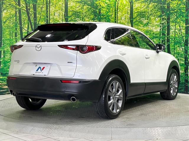 20193526_carP_l_16.jpg