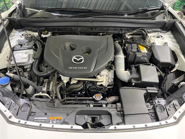 20193526_carP_l_18.jpg