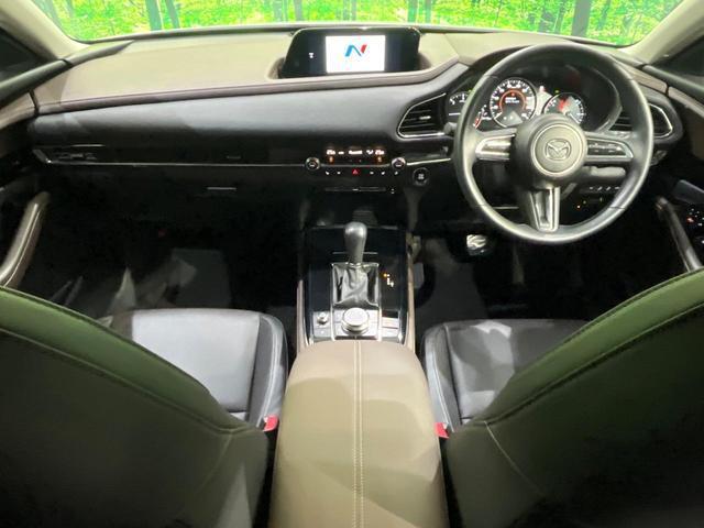 20193526_carP_l_3.jpg