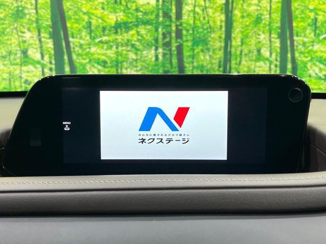 20193526_carP_l_4.jpg