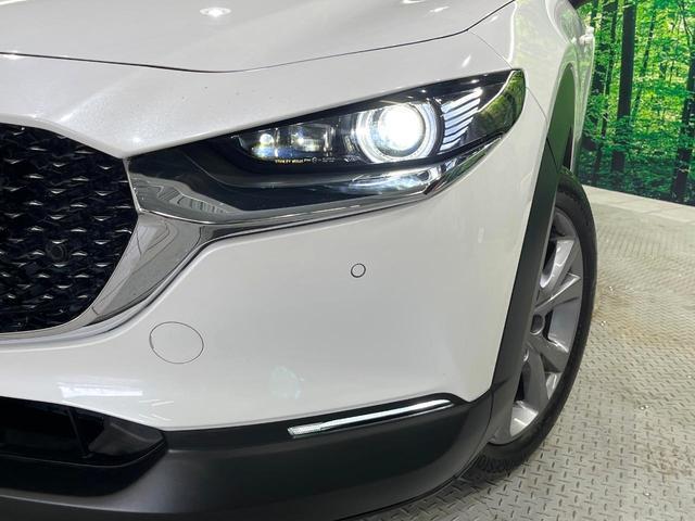 20193526_carP_l_7.jpg