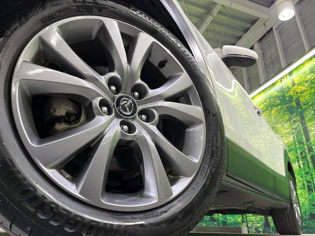 20193526_carP_l_8.jpg