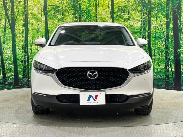 20193526_carP_l_9.jpg