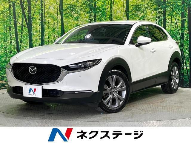 20193526_carP_l_1.jpg