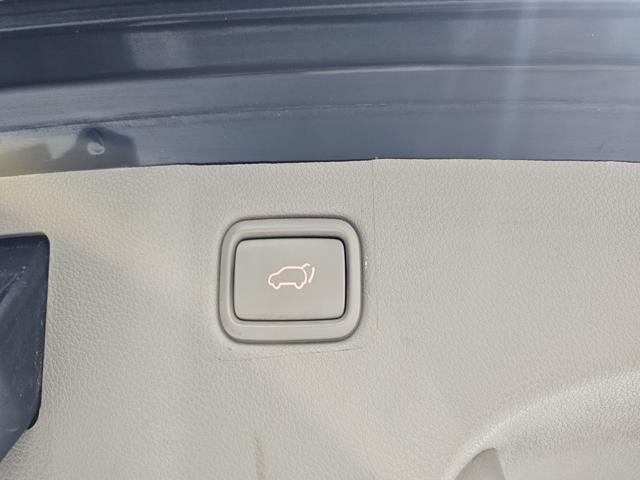 d195e0007c9581582f32e7260852269e.jpeg