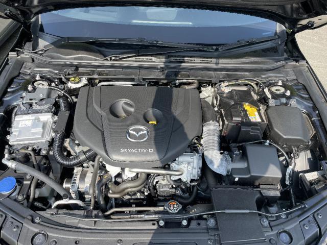 cefbae2aec947fab1f8ff2aa93844585.jpg