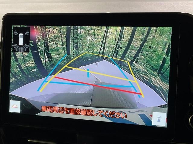 19738887_carP_l_4.jpg