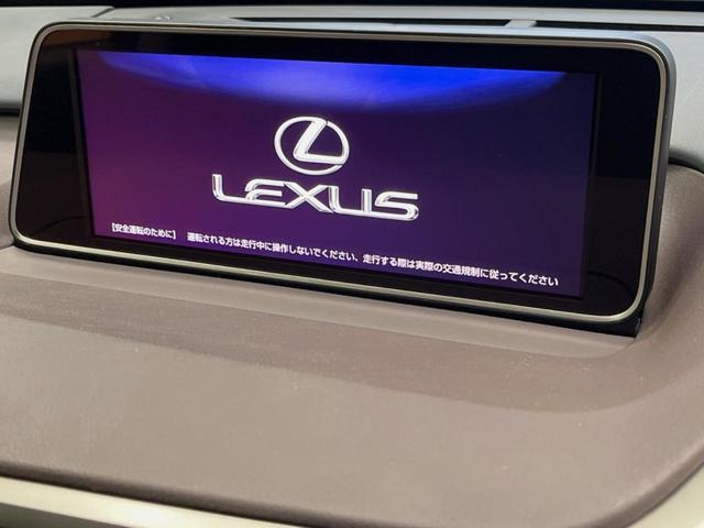 22994280_carP_l_15.jpg